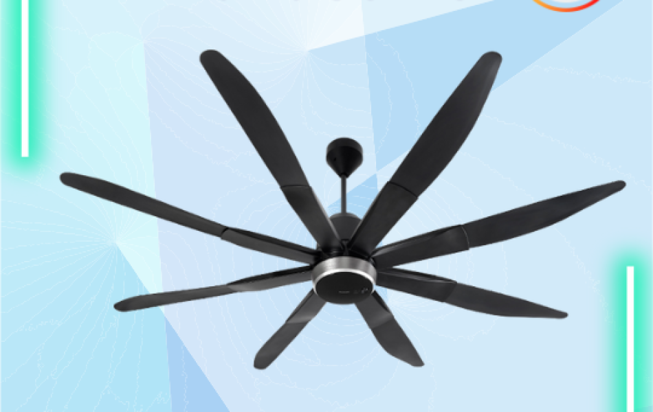  Quạt trần F-80ZBR – Giải pháp làm mát tinh tế cho nhà ở cao cấp & công trình tại miền Nam
